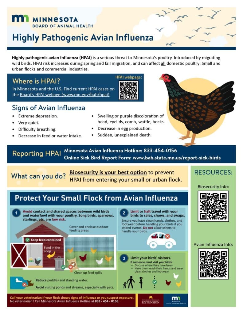 infographic from MN Depatment of Agriculture on HPAI